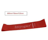 Gym Fitness Resistance Bands for Yoga Stretch Pull Up Assist Bands - Mike's Gear 