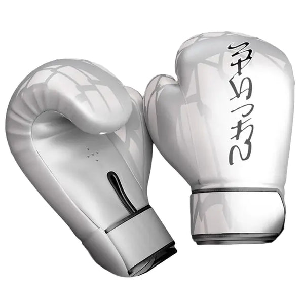 Silver Boxing Gloves - Mike's Gear 