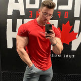 Men Fitted Gym T-Shirt - Mike's Gear 